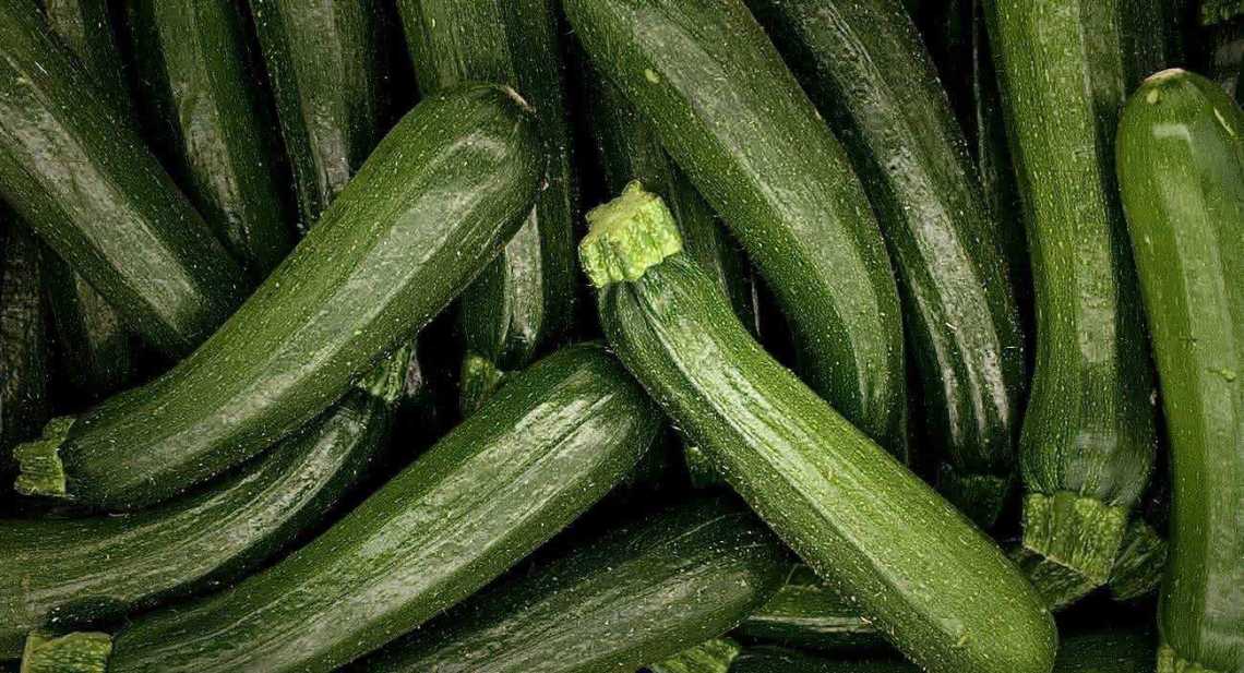 Courgettes Longue verte