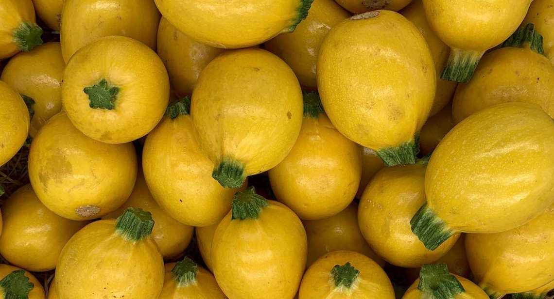 Courgettes Ronde jaune