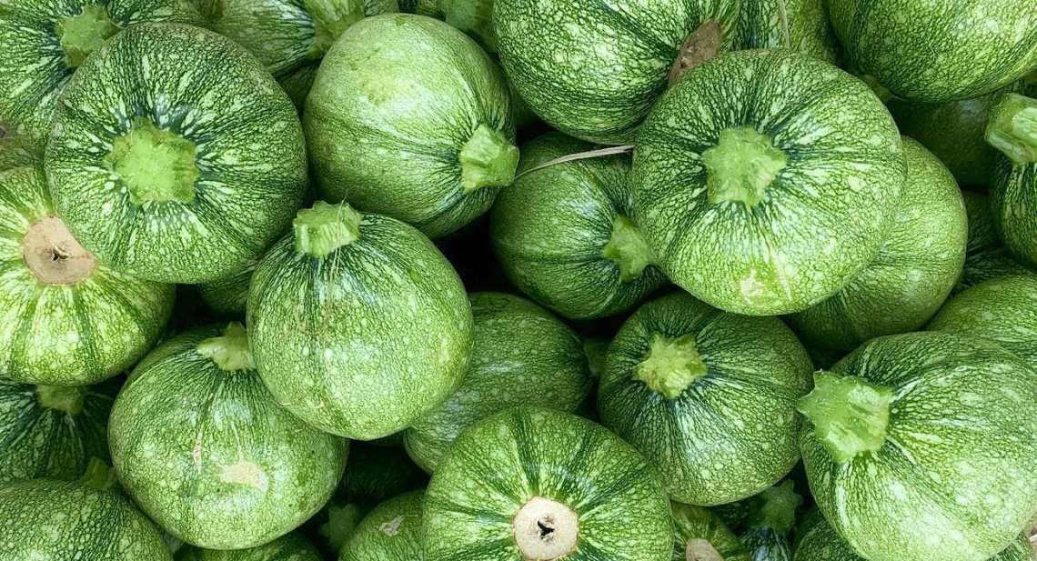 Courgettes Ronde verte