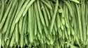 Haricots Vert