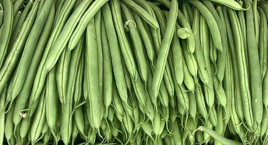 Haricots Vert