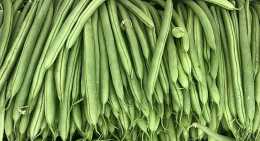Haricots Vert