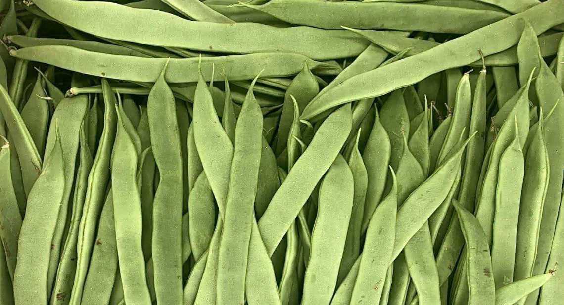 Haricots plat