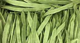 Haricots plat