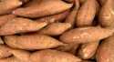 Pommes de terre Patates Douce