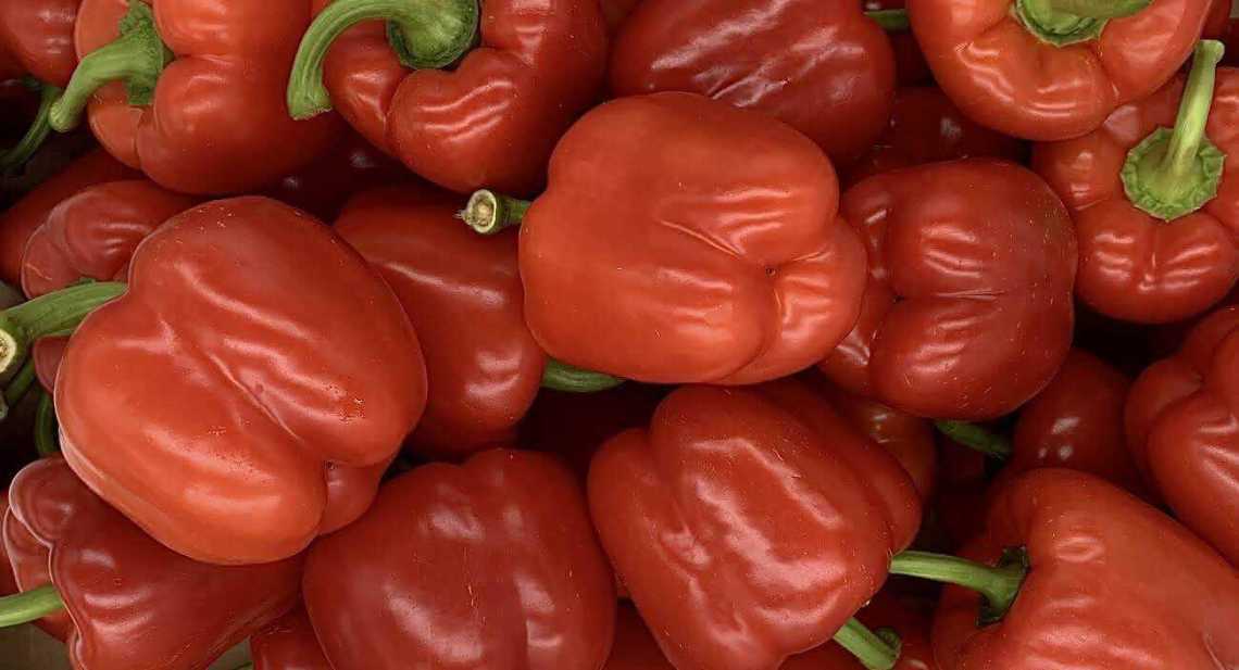 Poivrons Rouge