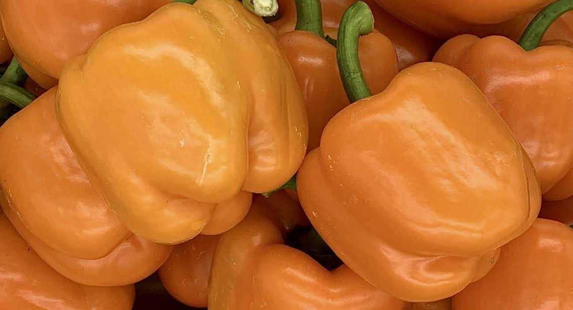Poivrons Orange