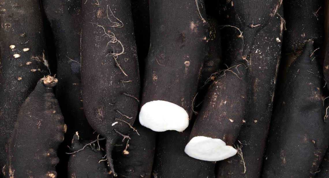 Radis Noir