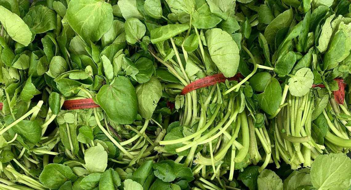 Salades Cresson