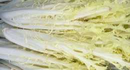 Salades Friseline