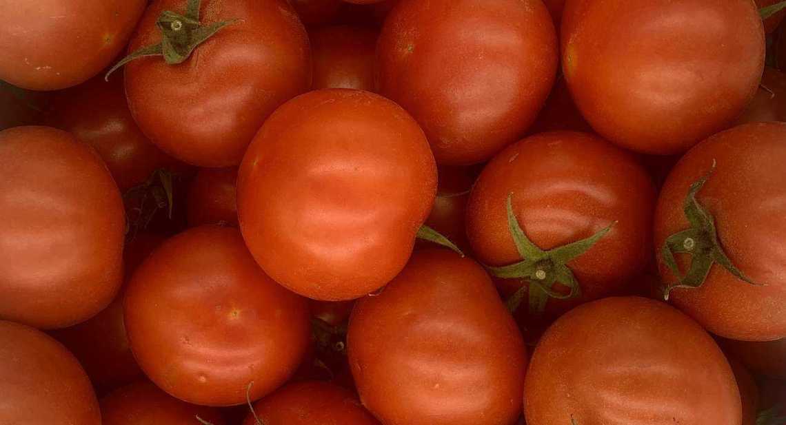 Tomates Ronde