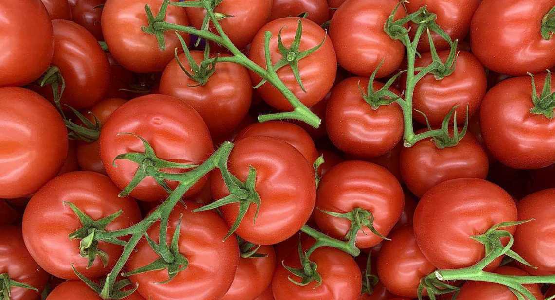 Tomates Grappe