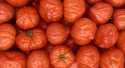 Tomates Coeur de boeuf