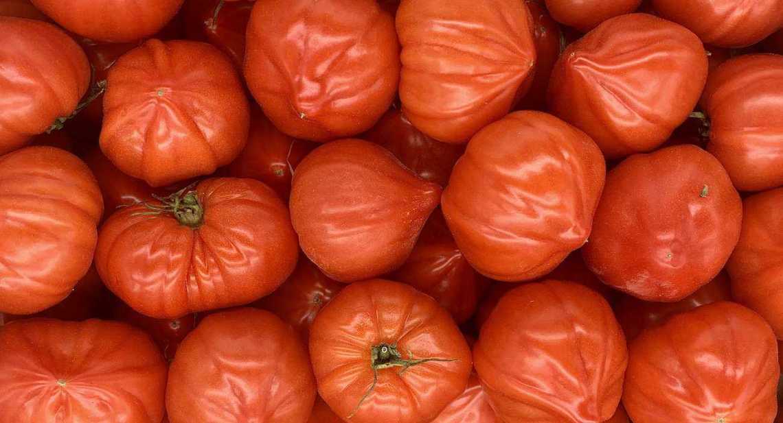 Tomates Coeur de boeuf