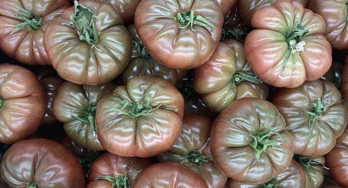 Tomates Noire de crimée
