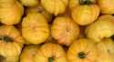 Tomates Ananas