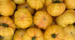 Tomates Ananas