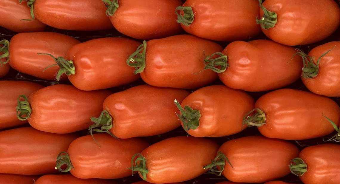 Tomates Roma