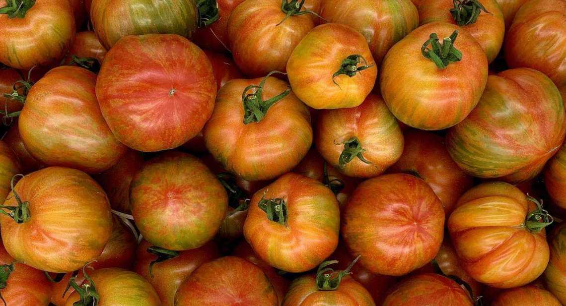 Tomates Red zebra