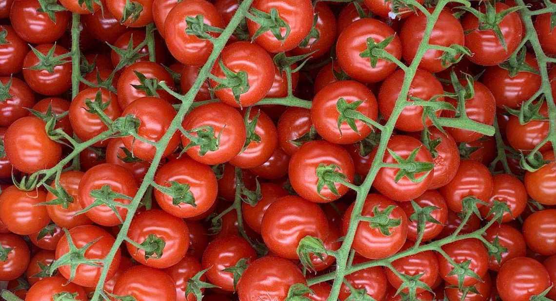 Tomates Cerise