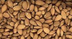 Amandes décortiquées
