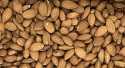 Amandes décortiquées