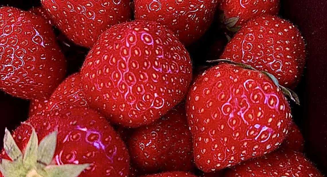 Fraises Sensation
