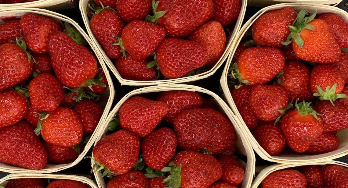 Fraises Dream