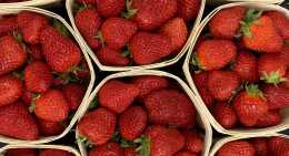Fraises Dream