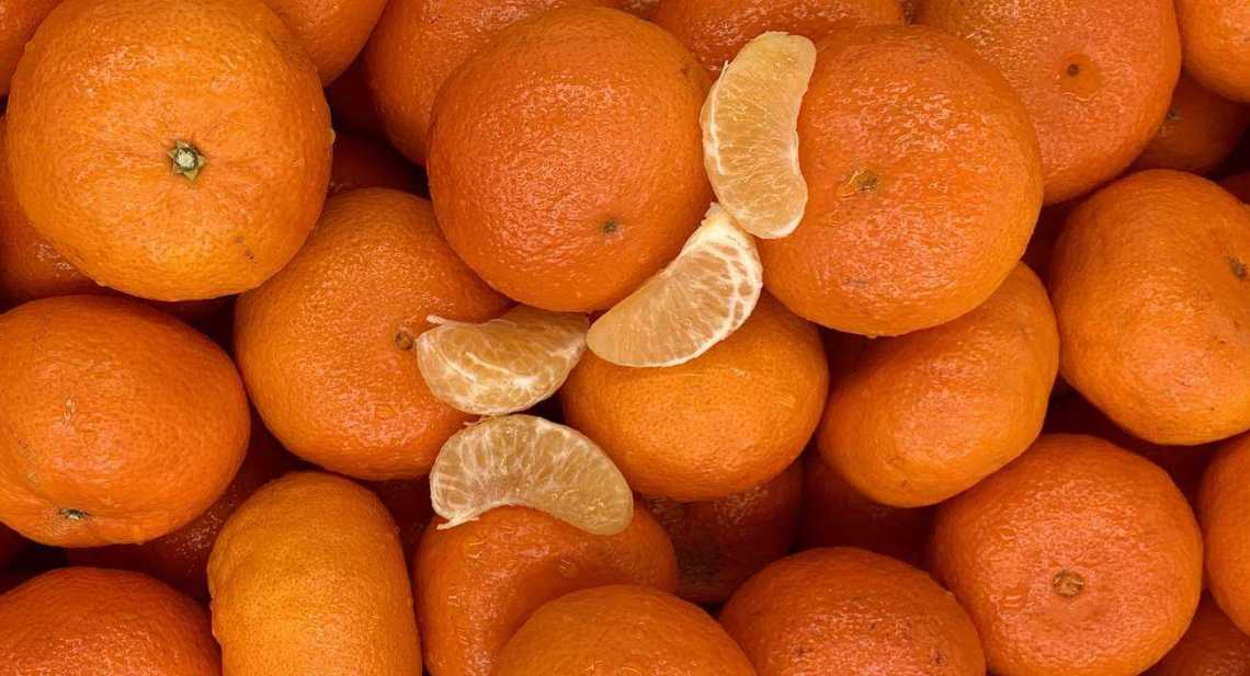 Clémentines Maroc