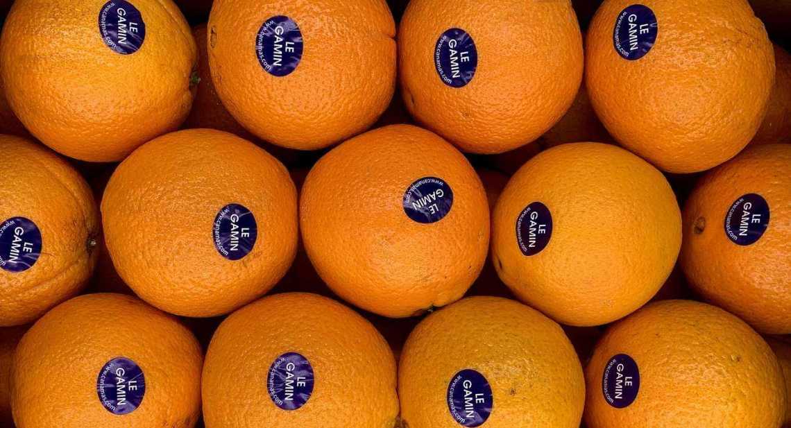 Oranges Gamin