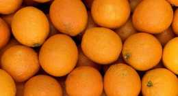 Oranges maltaise