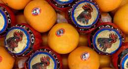Oranges Galetto