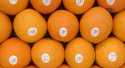Oranges Nature BIO