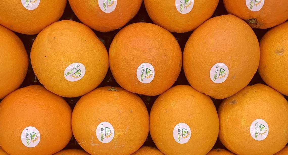 Oranges Nature BIO