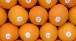 Oranges Nature BIO