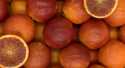 Oranges sanguine