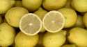 Citrons Jaune