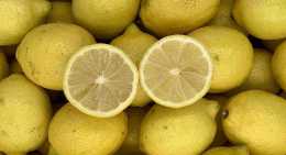Citrons Jaune