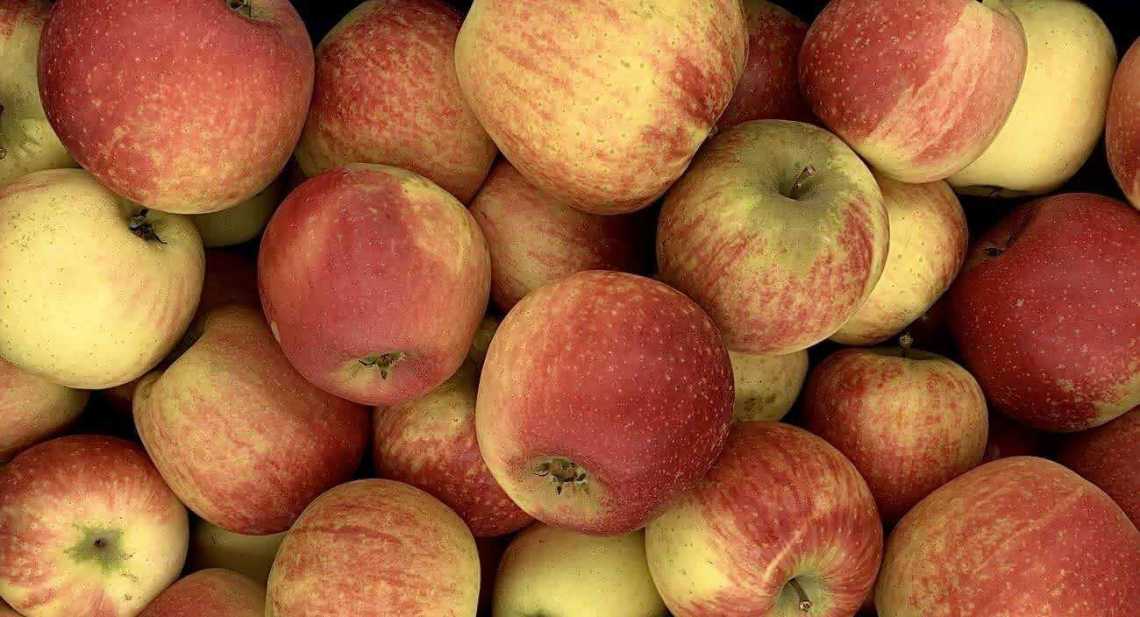 Pommes Ardèche
