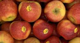 Pommes Ariane