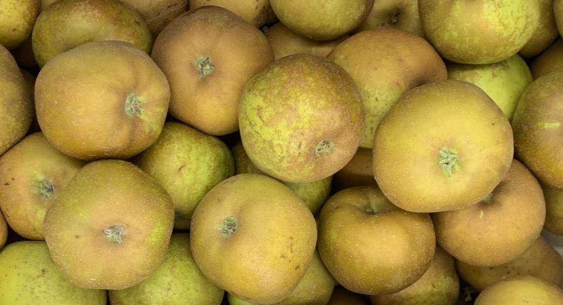 Pommes Canada grise