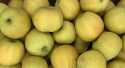Pommes Chanteclerc