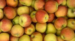 Pommes Dalireine