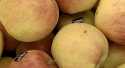 Pommes Golden rosé