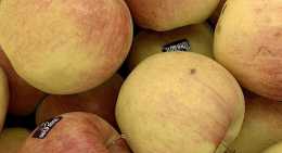 Pommes Golden rosé