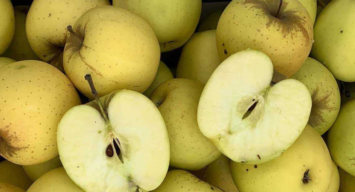 Pommes Golden