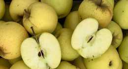 Pommes Golden