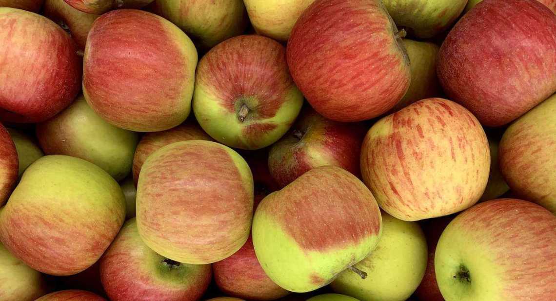 Pommes Reine reinette