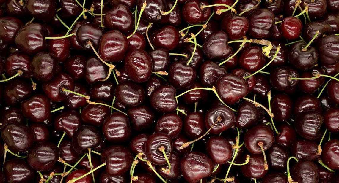 Cerises Regina